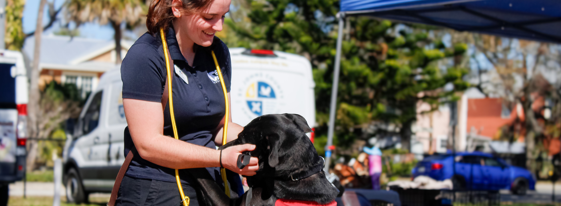 Canines & Local Finds 2026